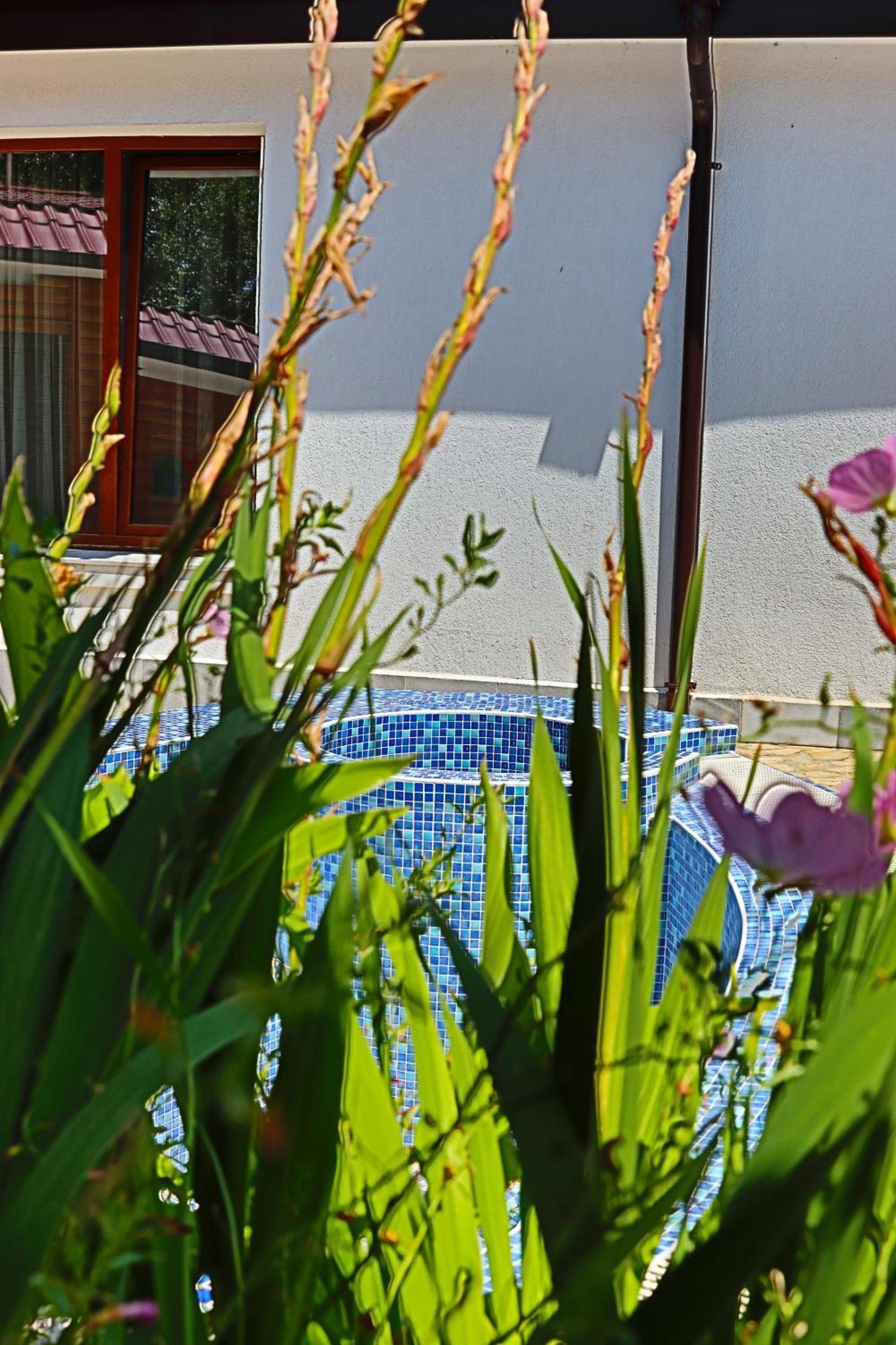Holiday House Kubrat ساباريفا بانيا المظهر الخارجي الصورة